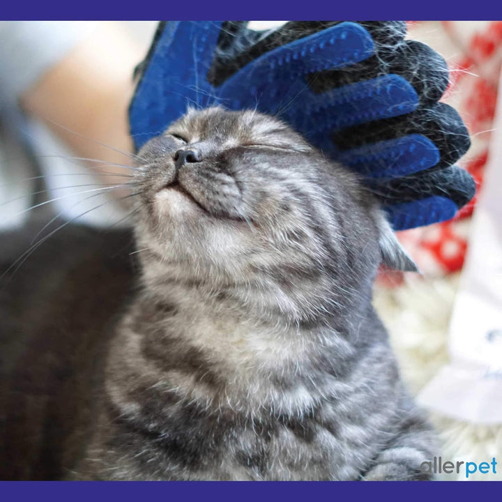 Cat Dander Remover W/Free Pair of Grooming Gloves and Mitt - Effective Cat Dander Reduction, anti Allergen Solution Made in USA - (12Oz)