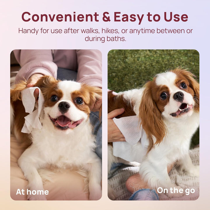 Wipes for Dogs and Cats, Vet-Recommended Pets Cleaning Wipes, Deodorizing Hydrating, Nourishes Smoothes Fur, Fermented Coconut Oil Grooming Paws, Body and Butt, Thicken, Rose, 100 Count