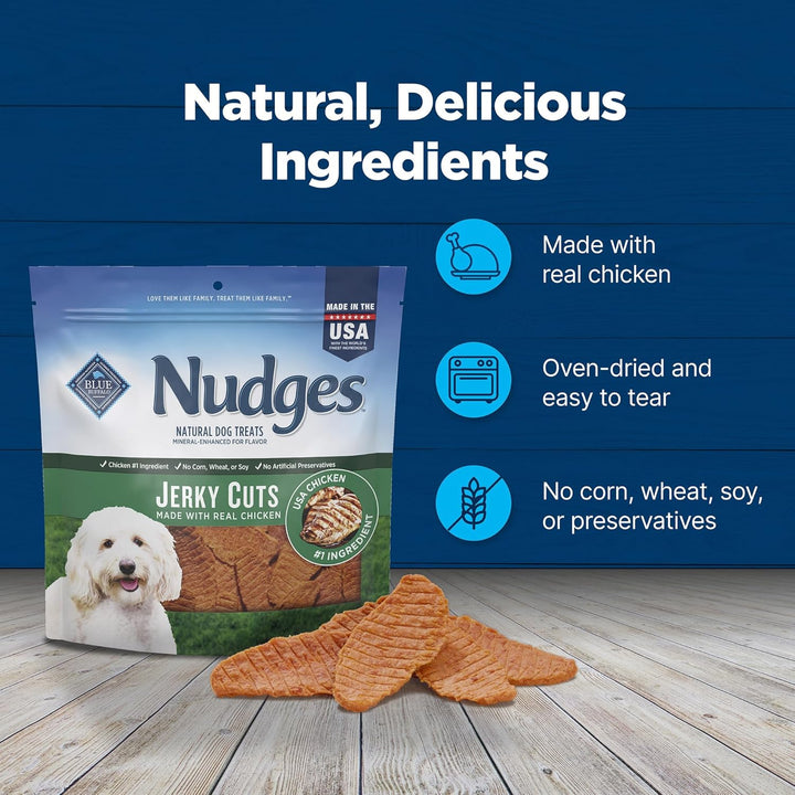 Nudges Jerky Bites Dog Treats, Made in the USA with Natural Ingredients, Bite-Sized Pieces, Chicken, 16-Oz Bag