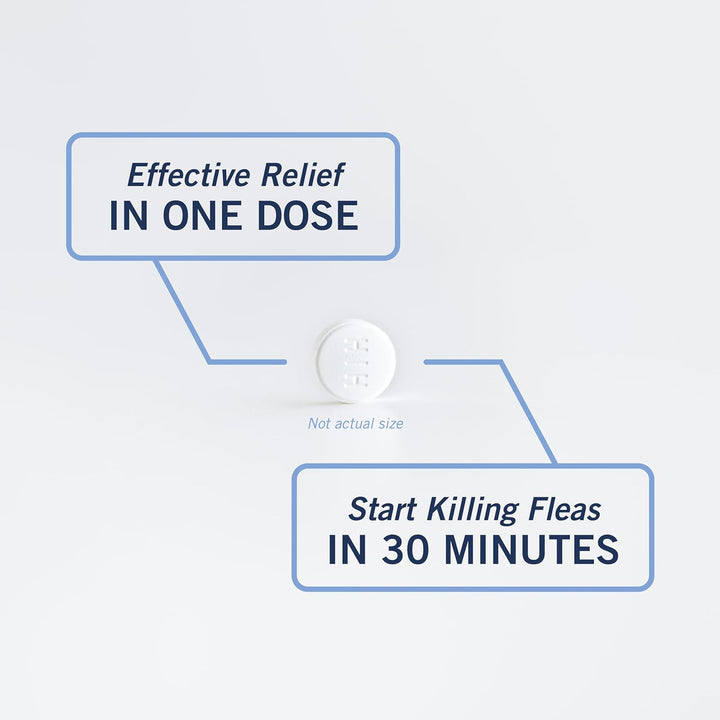 CAPACTION (Nitenpyram) Oral Flea Treatment for Dogs, Fast Acting Tablets Start Killing Fleas in 30 Minutes, Dogs over 25 Lbs, 6 Doses