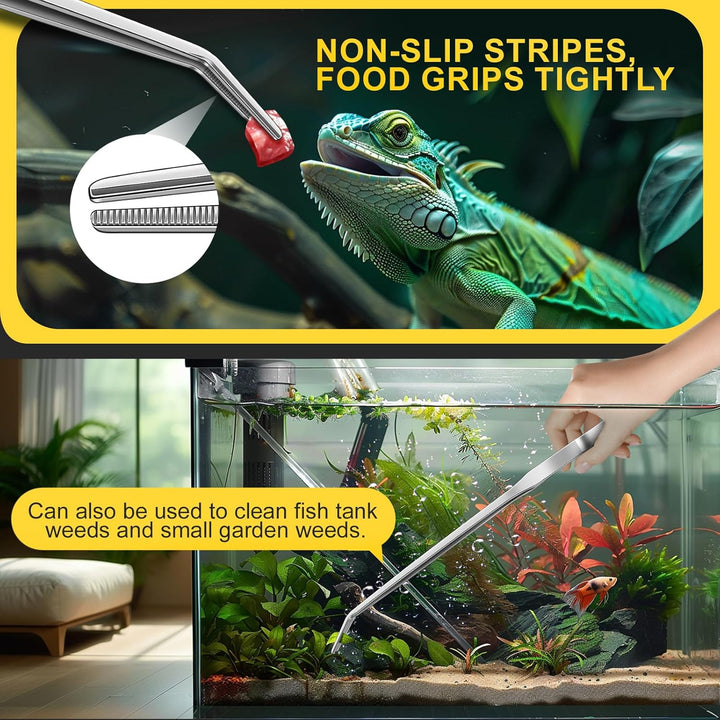 2Pcs Reptile Feeding Tongs, Feeding Spoon, Stainless Steel Aquarium Feeding Tools, Curved Long Tweezers 10.6 In, Long Spoon 10 in (Coffee Spoon) for Feeding Lizards, Bearded Dragons and More.
