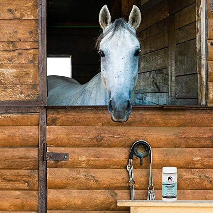 Daily Preventative Powder for Horses - Safe & Effective Equine Skin Conditioner Sweet Itch, Skin Funk, & Rain Rot - Dry Horse Shampoo, 16 Oz Formula with All Natural Ingredients