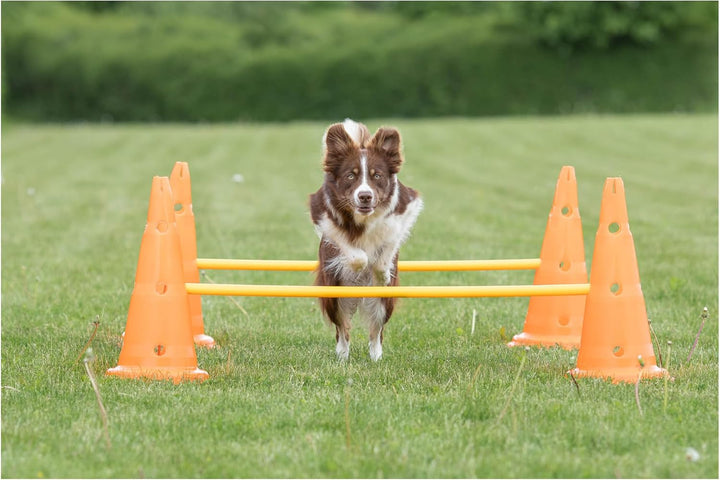 Dog Agility Hurdle Cone Set – Dog Agility Set with Height Adjustable Crossbar for Beginners & Advanced, Dog Agility Equipment for Dog Obstacle Courses – 6 X Cones, 3 X Agility Rods