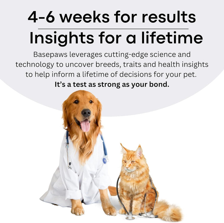 Dog DNA Testing Kit - 300+ Breeds, 280+ Health Risks, and 30+ Traits - Comprehensive Mixed Breed Identification, Pet DNA Test Kit, Canine Genetic Ancestry and Heritage