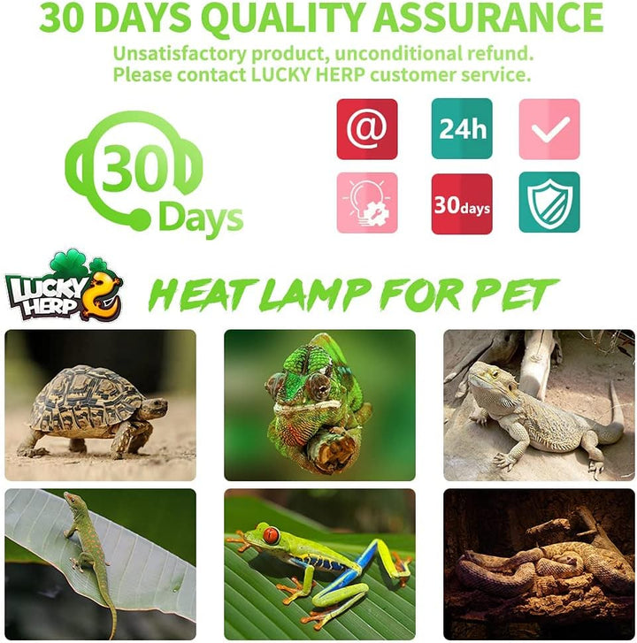 Reptile Heat Lamp - 100W (2Nd Gen) Heat Lamp Bulbs for Reptiles 2 Pack, Amphibians Basking Heat Lamp Bulbs, UVA Daylight Basking Light for Reptiles, Bearded Dragon, Lizard, Turtle, Chicken