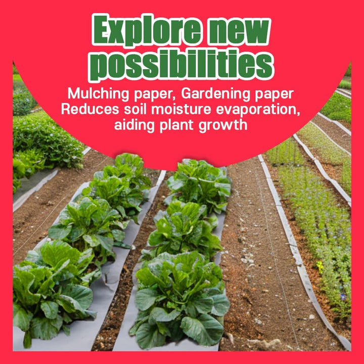 Bird Cage Liner - 120 Disposable Sheets Made from Acid-Free Newsprint. Non-Toxic for Birds, Ideal for Packing, Pet Cages, Crafts, Shipping, and Moving. Easy to Clean (31"X21.5")