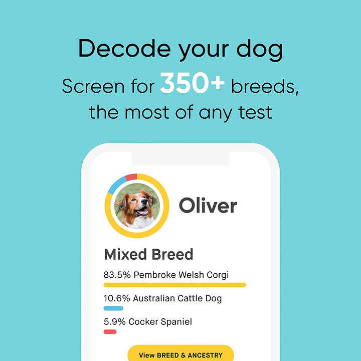 Breed Identification Kit - Most Accurate Dog DNA Testing Kit - 99% Breed Ancestry Accuracy for Mixed Breed Dogs - plus Relative Finder & Family Tree