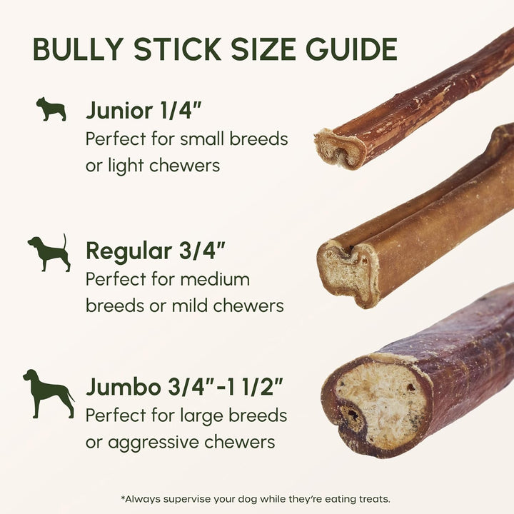 Bully Sticks for Dogs - Natural 6 Inch Beef Chews, Odor-Free & Rawhide-Free, Long Lasting Dog Treats for Aggressive Chewers - Healthy, Safe & Delicious Chews Dogs Love (10 Pack)