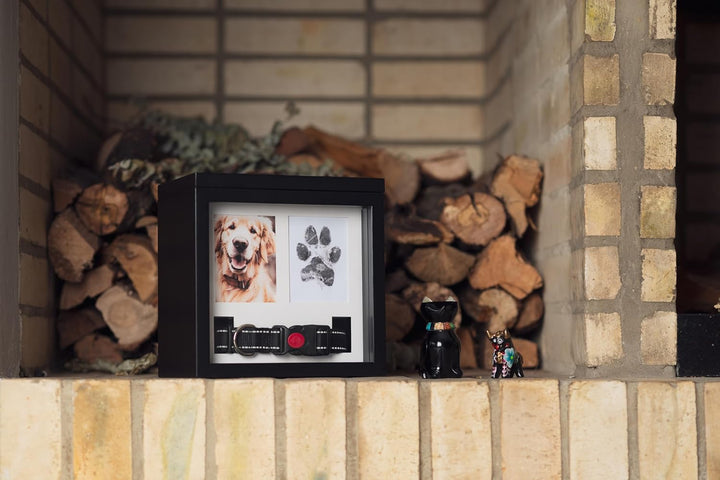 Large Dog Urn for Ashes, 4 Customizable Displays with Paw Print Ink Kit, 8.5X8.5X5.8 Pet Urns for Dogs Ashes, Pet Cremation Box, Cat Urn for Ashes, Dog Ashes Keepsake