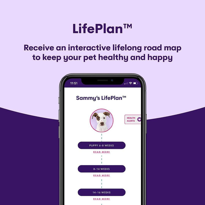 Genopet Dog DNA Test – Dog Breed Test Kit USA | Canine Ancestry & Genetic Health Screening by Age, Weight & Gender | At-Home Swab | Results in 21-25 Days after Activation