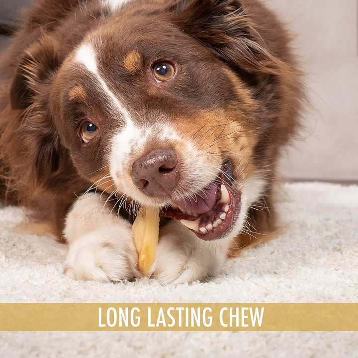 Water Buffalo All Natural Ear Dog Chews, Dog Treats & Snacks - 20 Piece Value Pack (Grain Free Treats - Great Alternative to Pig Ears, Cow Ears, Bones & Rawhides)