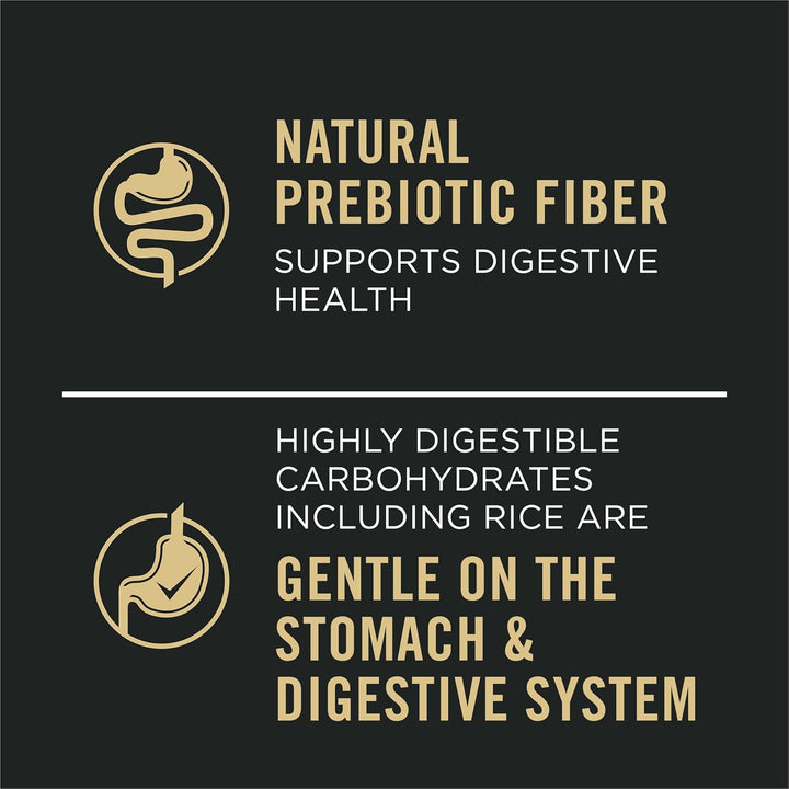 Sensitive Skin and Stomach Dog Food Wet Classic Pate Salmon and Rice Entrée - (Pack of 12) 13 Oz. Cans