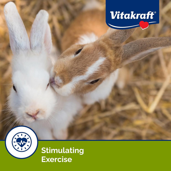 Crunch Sticks Rabbit Treat - Carrot and Honey - Rabbit Chew Sticks (Wild Berry & Honey)