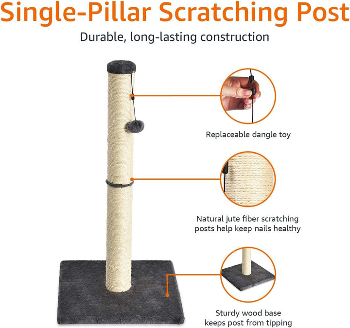 Cat Scratcher - Indoor Classic Single Cat & Kittens Scratching Post, Medium (31.5"H) - Grey