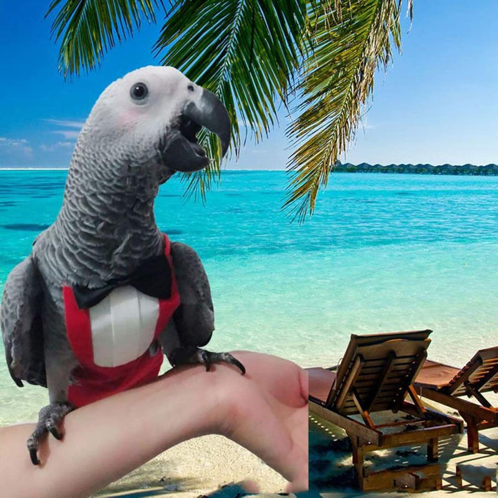 2 Pack Bird Diapers, Cockatiel Tuxedo Flight Suite, Reusable Parrot Nappy Clothes Costume for Wedding Party Birthday Cosplay Photo, Pigeon Pants Urine Wet Suit for Conure Macaw Budgies Parakeet