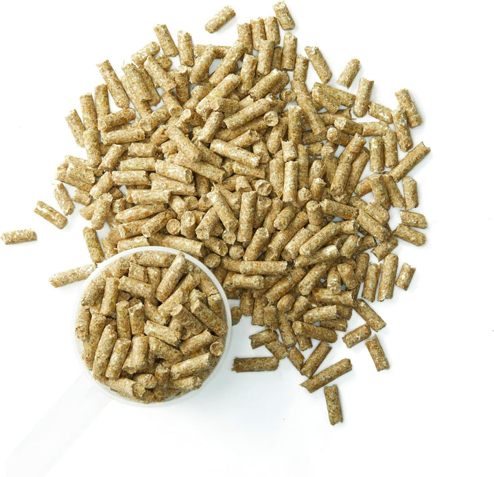 ® Systemiq™ Probiotic Horse Supplement | 2 Pounds (2 LB)