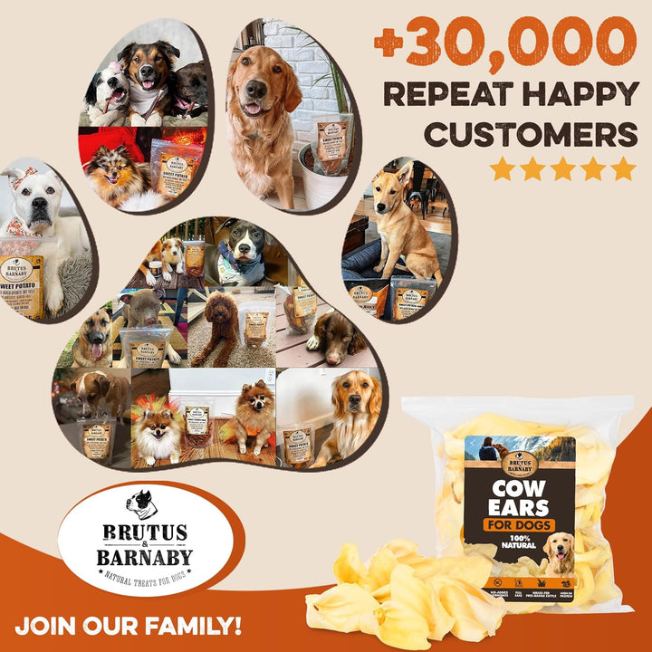 Cow Ears for Dogs – Whole Ears 30 Ct, Thick Cut, Grass-Fed Angus Beef, All-Natural No-Rawhide Dog Treat Alternative