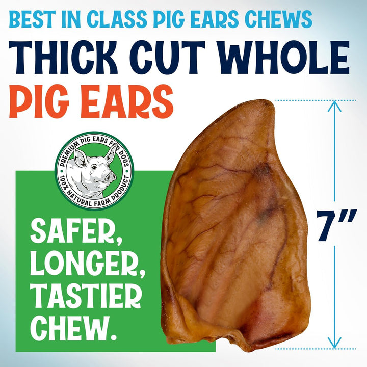 Whole Pig Ears for Dogs Large - 100 Pack Long Lasting Dog Chews - One Ingredient Delicious All Natural Flavor – Easy to Digest Dog Treat for Large Dogs - Great for Teeth and Gums