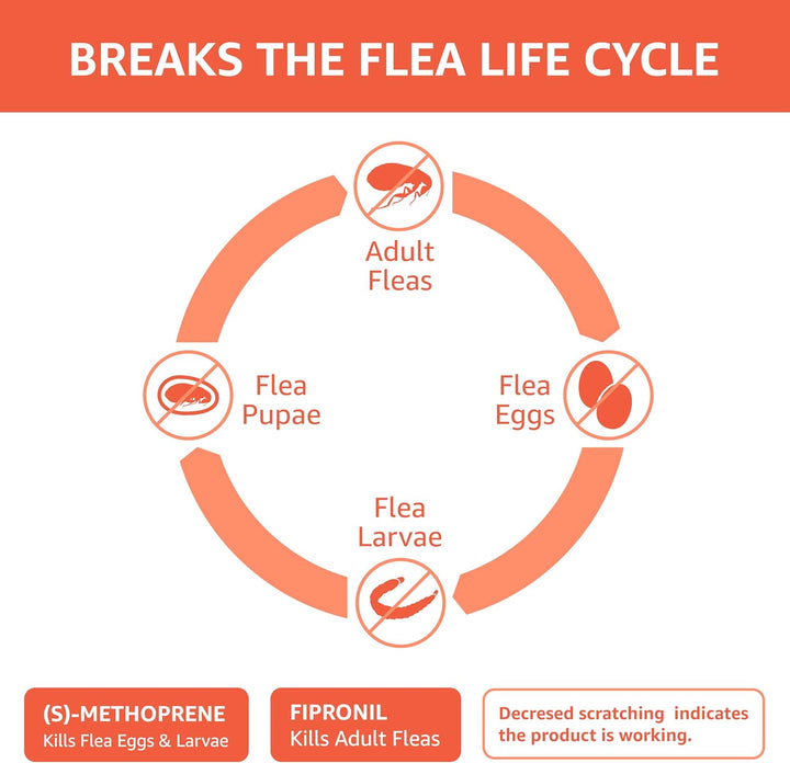 Flea and Tick Topical Treatment for Small Dogs (5-22 Pounds), 3 Count (Previously Solimo)