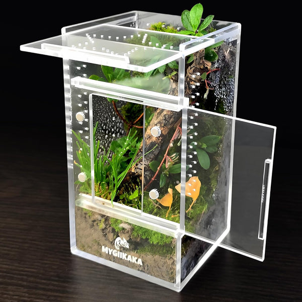 Jumping Spider Enclosure Accessories, Tarantula Spider Box, Bug Cage, Praying Mantis Habitat Enclosure, Snail Insect Terrarium, Caterpillar Habitat (3X3X6 Inch)