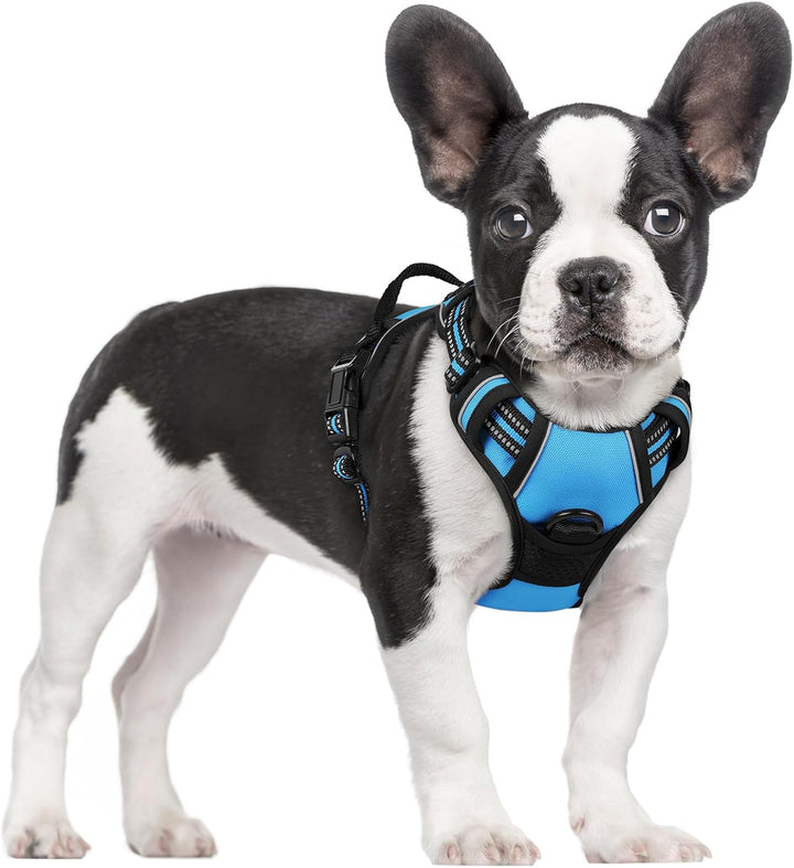 Dog Harness No Pull with 2 Leash Clips, Adjustable Soft Padded, Reflective Oxford No Choke Pet Vest with Easy Control Handle for Large Dogs, Black, L