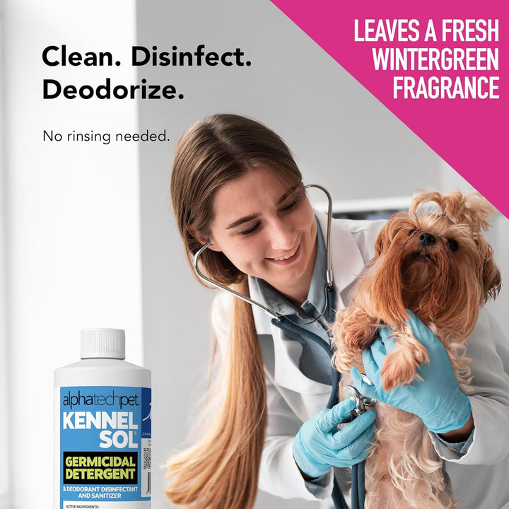 Kennelsol 1-Step Kennel Cleaner - 1 Pint Liquid Disinfectant, Effective against Bacteria and Viruses, Deodorizer Wintergreen Scent by Alpha Tech Pet