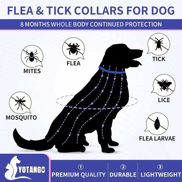 4 Pack Flea Collar for Dogs, Dog Flea Collar Waterproof, 32 Months Prevention, Dog Fleas and Tick Treatment, Adjustable Fleas and Tick Protection for Dogs Puppy(Blue & Pink)