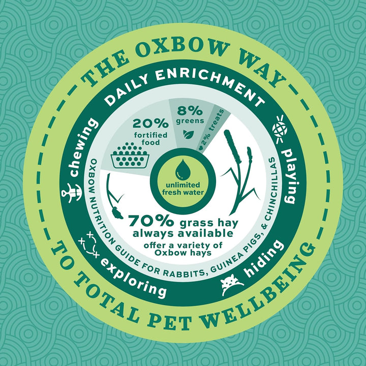 Essentials Guinea Pig Food, Adult Guinea Pig, Made with  Timothy Hay, Pet Food Pellets with Vitamin C, Small Animal Pet Products, Made in USA, High Fiber, 5 Lb. Bag