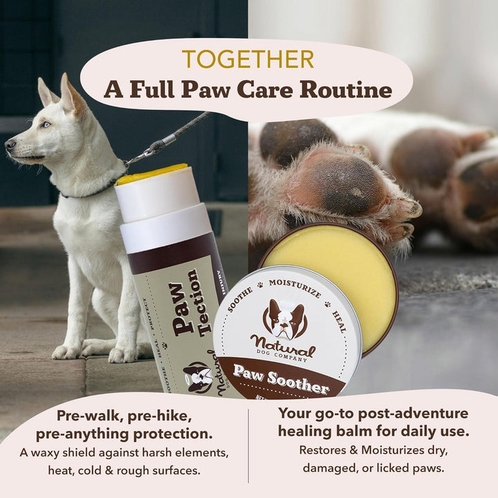 Pawtection Balm 2 Oz Stick – Dog Paw Protection Wax with Shea Butter & Calendula – Shields Paws from Snow, Ice, Salt, Hot Pavement & Rough Terrain – Lick-Safe, Vegan