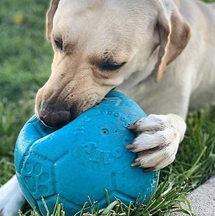 Large Soccer Ball Floating-Bouncing Dog Toy, 8 Inch Diameter, Ocean Blue