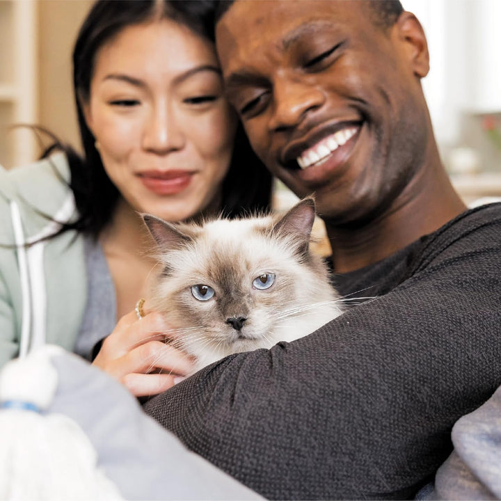 Proactive Health Indoor Weight Control & Hairball Care Adult Dry Cat Food, Chicken & Turkey Recipe, 7 Lb. Bag