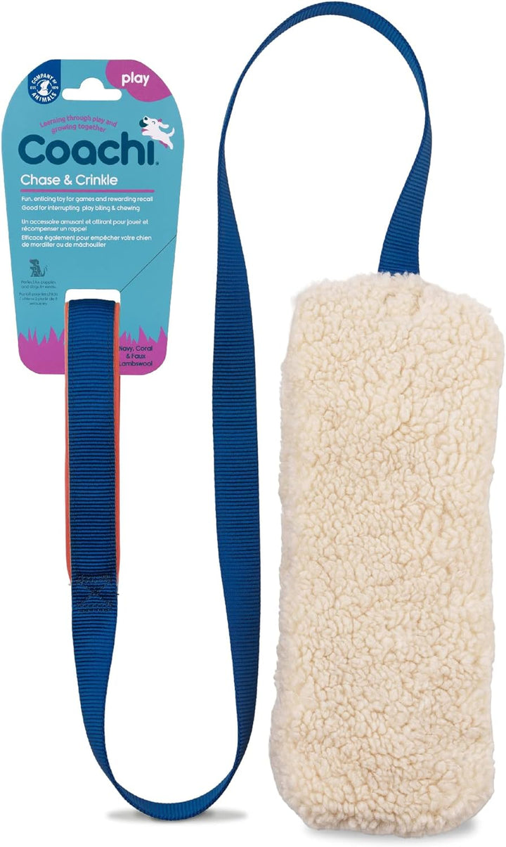 Coachi Tuggi Ball - Interactive Dog Toy for Tug of War & Play. Strong & Comfortable, Stretchy Bungee Handle, Reward Training, Interrupting Biting & Chewing. Ideal for Agility and Suitable for Puppies