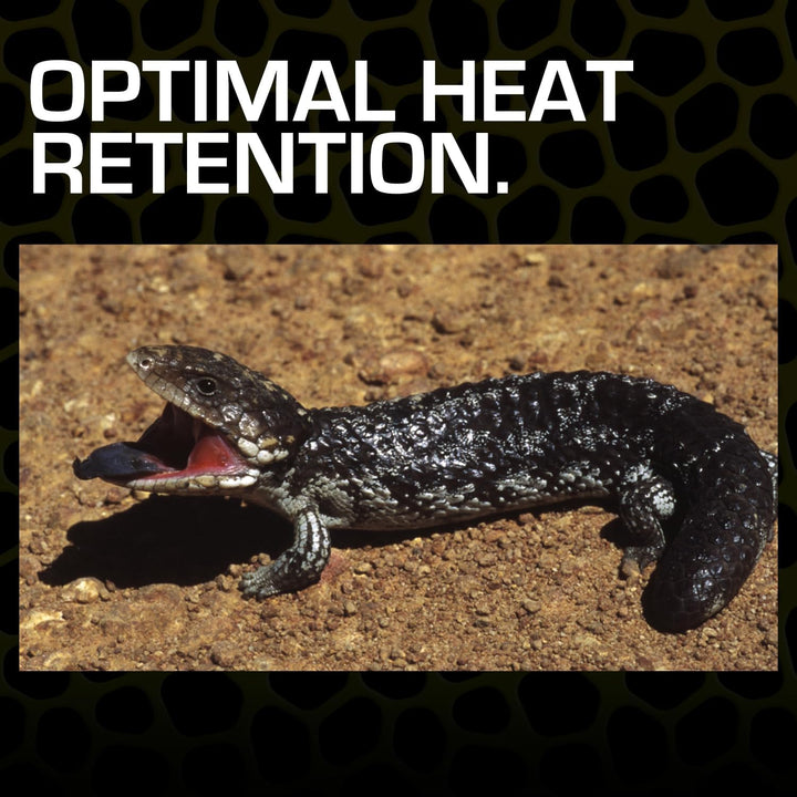 Desert Sand, 10-Pound, Red for All Breed Sizes