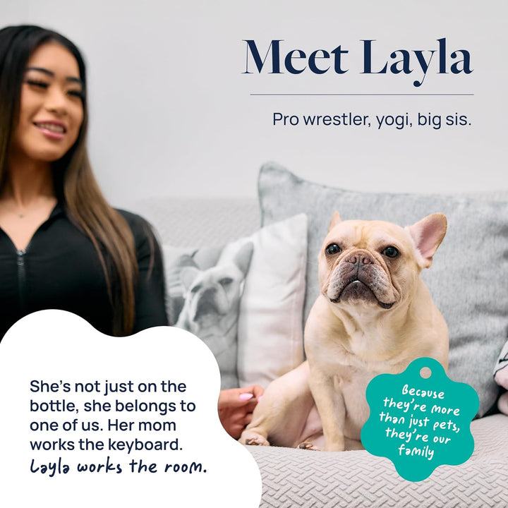 Anal Gland Support for Dogs – Vet-Formulated No Scoot Chews with Pumpkin, Ginger, Agave Inulin & Probiotics – Supports Scooting, Stool Quality & Digestive Health, 60 Soft Chews