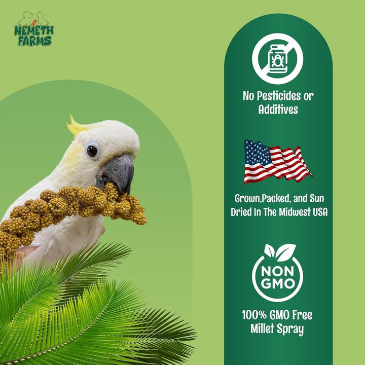 Premium Non-Gmo Spray Millet Treat | Hand-Harvested Bird Snack | 100% Edible Tops | Sun-Dried Supplement for Parakeets, Cockatiels, Finches, Lovebirds, Canaries