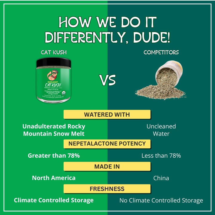 Organic Catnip by , Safe Premium Blend Perfect for Cats, Instilled with Maximized Potency Your Kitty Is Guaranteed to Go Crazy For! (1 Cup)