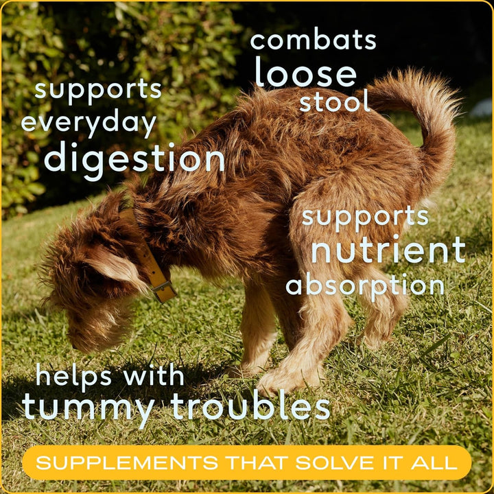 Pumpkin for Dogs - Organic Powder Pumpkin Puree Dog Food Toppers -Rich in Fiber Supplement Powder Helps with Digestion, Nutrient Absorption, Diarrhea, Constipation & Upset Stomach-30 Scoops