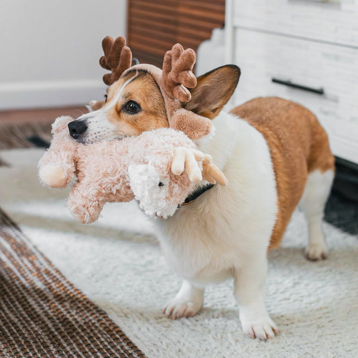 Vixi Maxi Plushie – Soft & Festive Reindeer Toy for Dogs and Cats | Crinkle, Squeaky & Jingle | Lightweight Faux-Fur Cuddle Buddy for Playtime, Snuggles & Holiday Décor