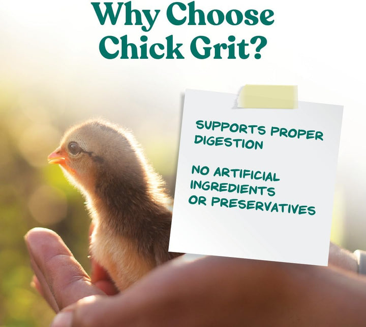 Chick Grit Digestive Supplement for Young Growing Poultry & Bantam Breeds, No Artificial Ingredients or Preservatives, Natural Supplement with Insoluble Crushed Granite, 5 Lbs