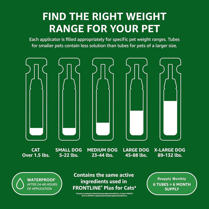 Flea and Tick Topical Treatment for Cats (Over 1.5 Pounds), 6 Count (Previously Solimo)