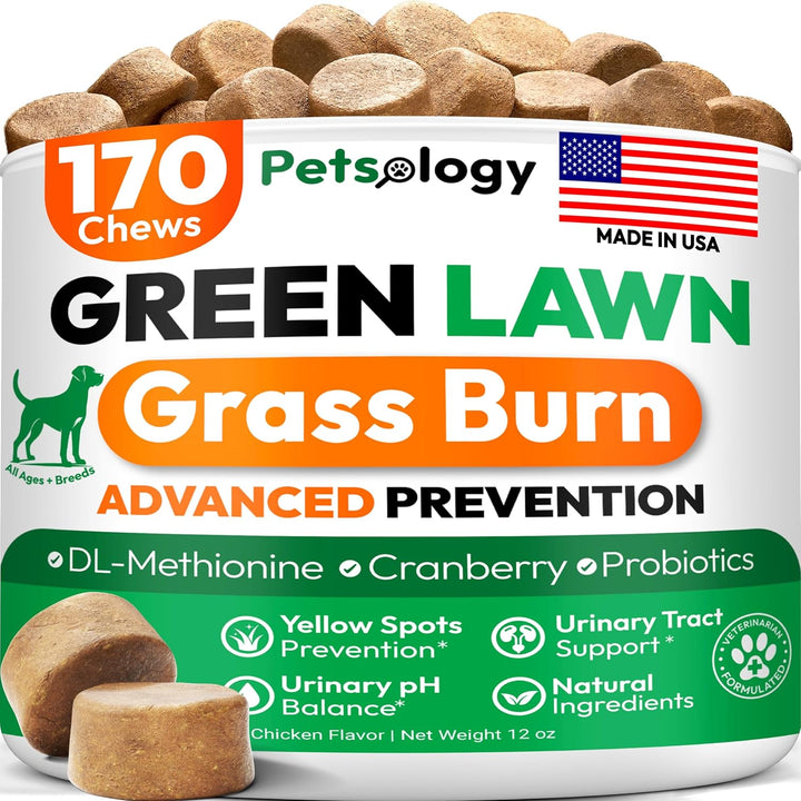 Probiotics for Dogs - 170 Dog Probiotics Chews - Digestive Enzymes & Prebiotics - Support Gut Health, Diarrhea, Gas & Constipation Relief - Itchy Skin, Allergies, Yeast Balance - Advanced Supplement