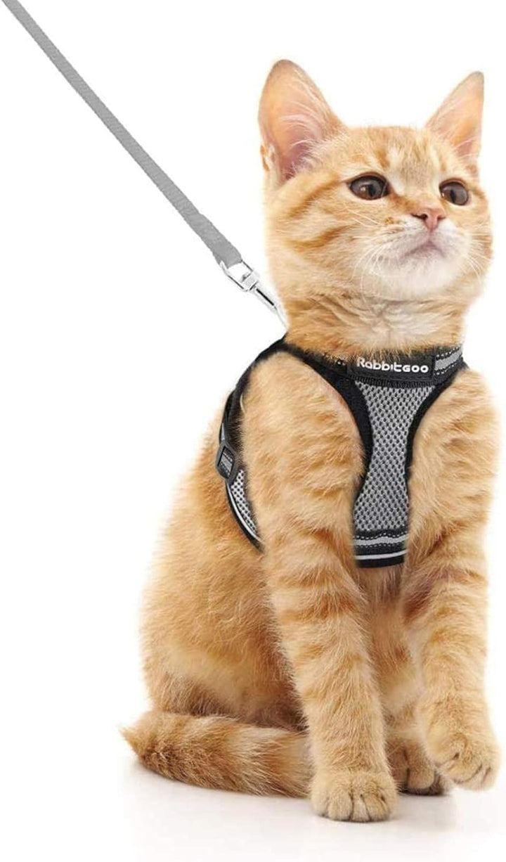 Cat Harness and Leash Set for Walking Escape Proof, Adjustable Soft Kittens Vest with Reflective Strip for Cats, Comfortable Outdoor Vest, Black, S