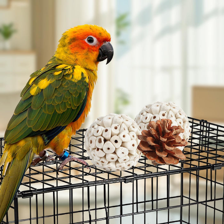 Bird Toys Parrot Toys Natural Bird Foraging Box Foot for Parakeets,Cockatiels,Conures,Love Birds,And Other Small to Medium Birds (Medium)