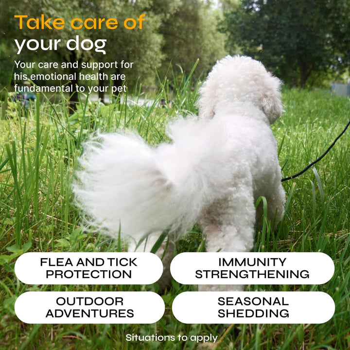 Flea and Tick Prevention for Dogs - Dog Flea Treatment Chews - Immune Support Flea and Tick Chewables for Dogs - Dog Flea & Tick Control Supplement - All Breeds & Ages - Vet Formulated - Soft Treats