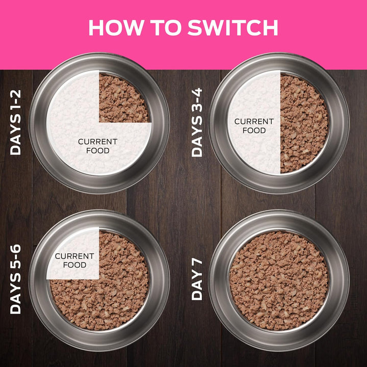 Purina  UR Urinary Ox/St Canine Formula Wet Dog Food - (Pack of 12) 13.3 Oz. Cans