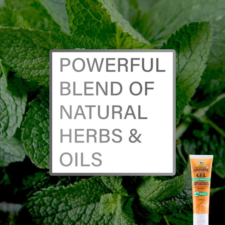 Veterinary Liniment Gel