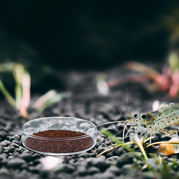 3 Pieces Aquarium Shrimp Feeding Dish Clear Glass Fish Tank Feeding Bowl Food Bowl Freshwater Tray Feeder, 60Mm, 65Mm, 80Mm