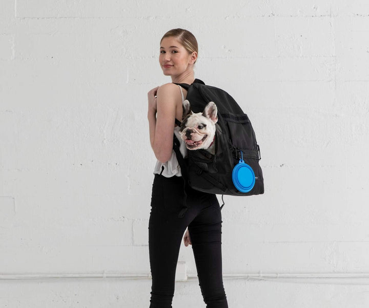 Muttmover Luxe Backpack, Jet Black, Medium