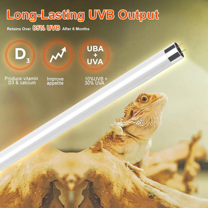 8W T5 10.0 UVB Reptile Light Fixture 12" – High Output UVA UVB Light for Bearded Dragons, Turtles & Snakes – Compact UVB Lamp for Desert & Tropical Reptiles (UVB 10.0-Desert, 12INCH-8W)