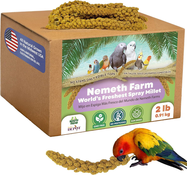 Premium Non-Gmo Spray Millet Treat | Hand-Harvested Bird Snack | 100% Edible Tops | Sun-Dried Supplement for Parakeets, Cockatiels, Finches, Lovebirds, Canaries